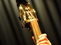 DSC_0527